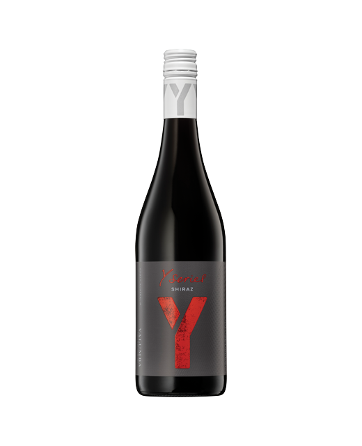 Y Series Shiraz