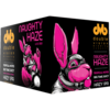 Double Vision Brewing Naughty Haze Hazy IPA 6pk cans